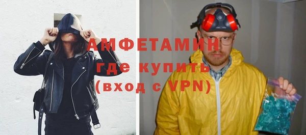 индика Абаза