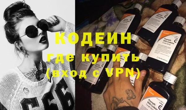 индика Абаза