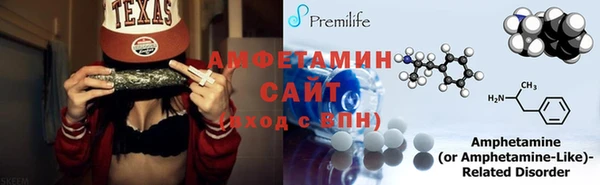 индика Абаза