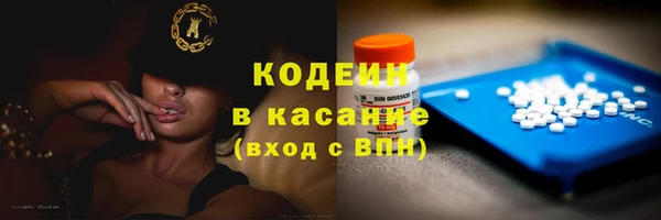 индика Абаза