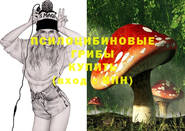 индика Абаза