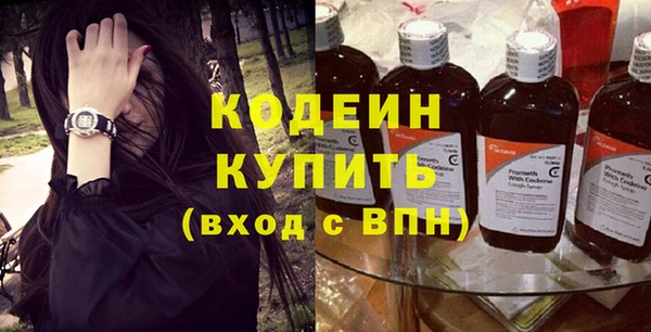 индика Абаза