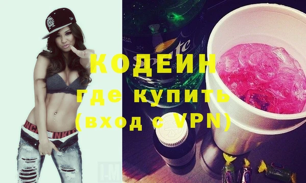 индика Абаза