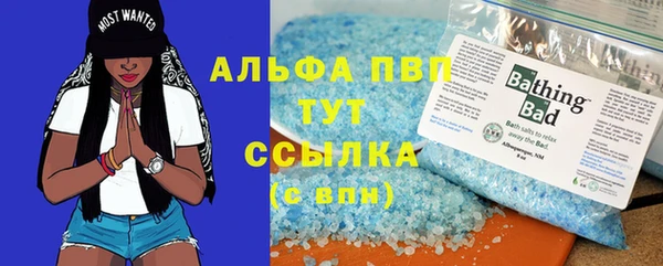 индика Абаза