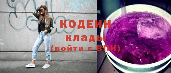 индика Абаза