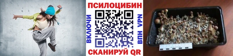 Галлюциногенные грибы GOLDEN TEACHER  Электросталь 