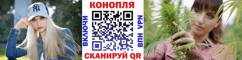 Бошки марихуана SATIVA & INDICA  магазин  наркотиков  Электросталь 